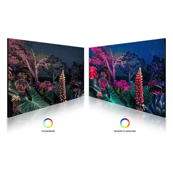 Samsung QB50B | 50" 4K UHD Signage | VA Panel | Tizen 6.5 - Bild 3